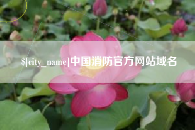 淮滨中国消防官方网站域名