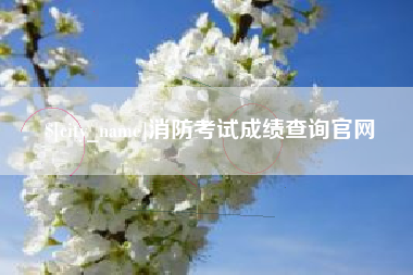 淮滨消防考试成绩查询官网