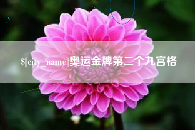淮滨奥运金牌第二个九宫格