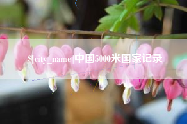 淮滨中国5000米国家记录