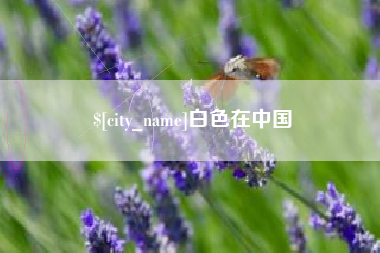 淮滨白色在中国