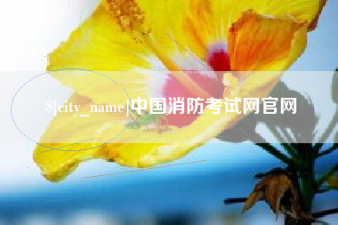淮滨中国消防考试网官网