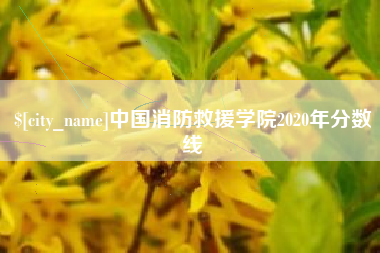 淮滨中国消防救援学院2020年分数线