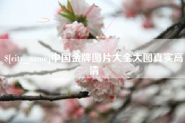淮滨中国金牌图片大全大图真实高清