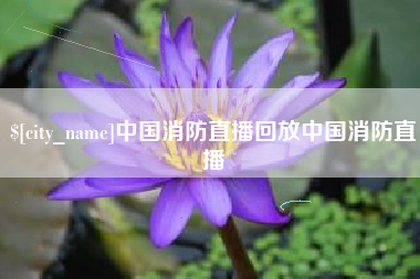 淮滨中国消防直播回放中国消防直播