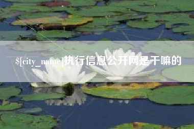 淮滨执行信息公开网是干嘛的