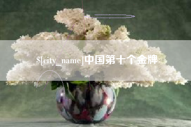 淮滨中国第十个金牌