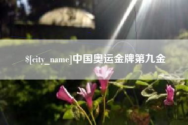 淮滨中国奥运金牌第九金