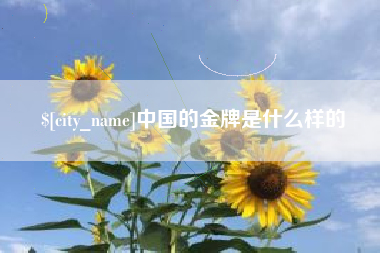 淮滨中国的金牌是什么样的