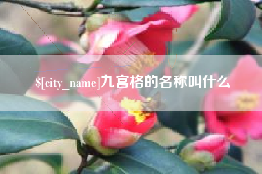 淮滨九宫格的名称叫什么