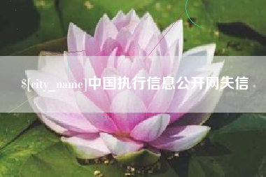 淮滨中国执行信息公开网失信