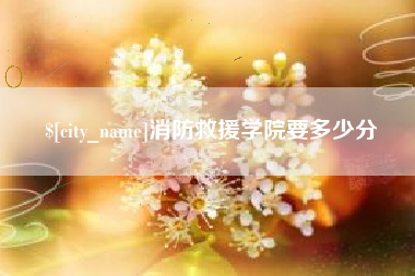 淮滨消防救援学院要多少分