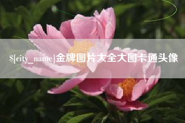 淮滨金牌图片大全大图卡通头像
