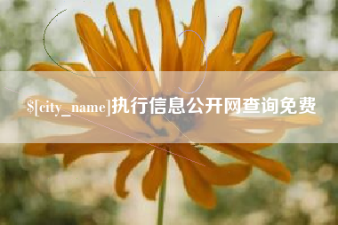 淮滨执行信息公开网查询免费