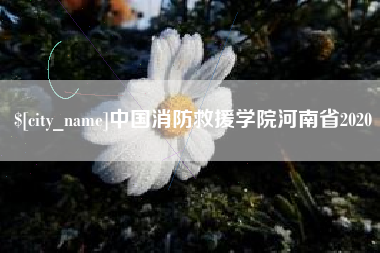 淮滨中国消防救援学院河南省2020